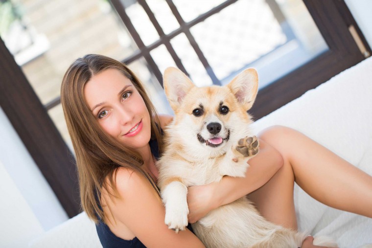 Dogs and Their Owners’ Stories